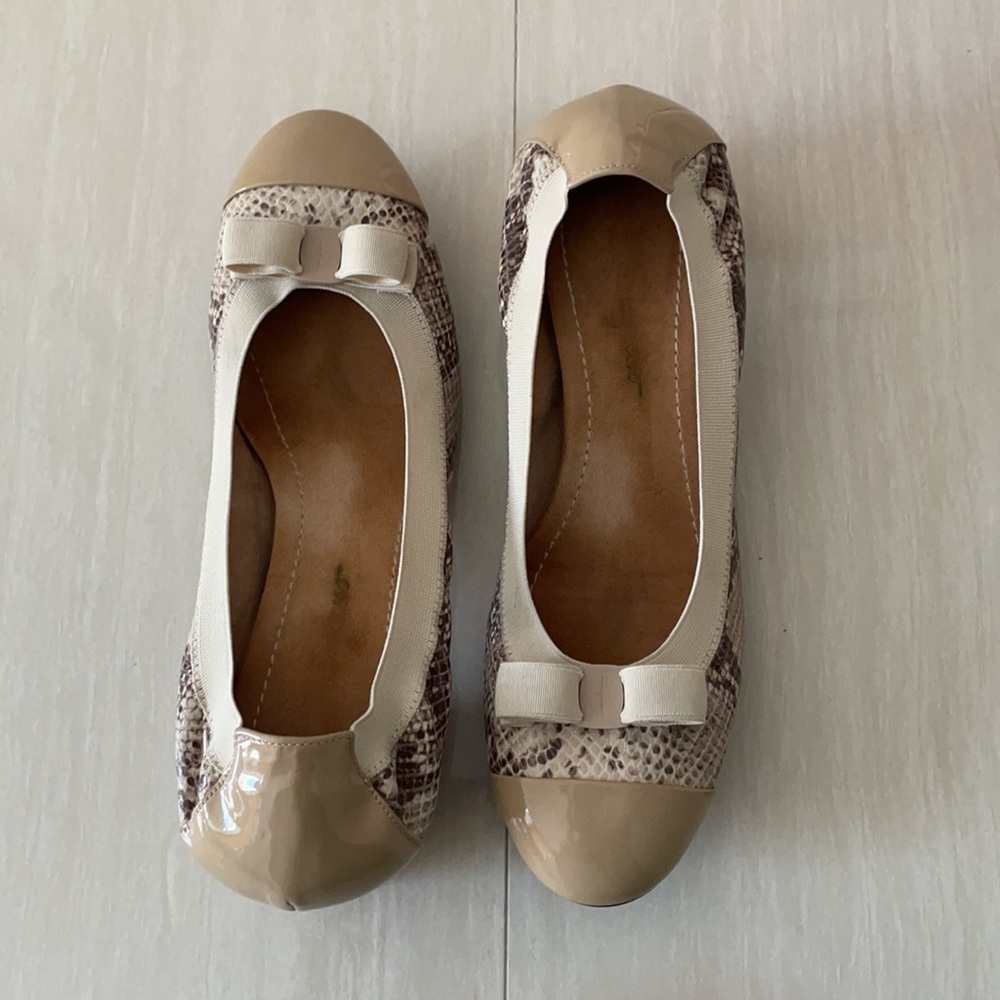 Ferragamo shoes